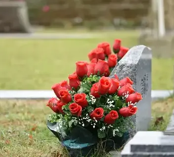 entretien de jardin à Cherbourg-en-Cotentin - image 2