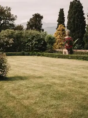 entretien de jardin à Cherbourg-en-Cotentin - image 3