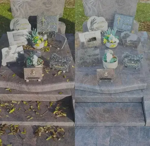 entretien de jardin à Cherbourg-en-Cotentin - image 4