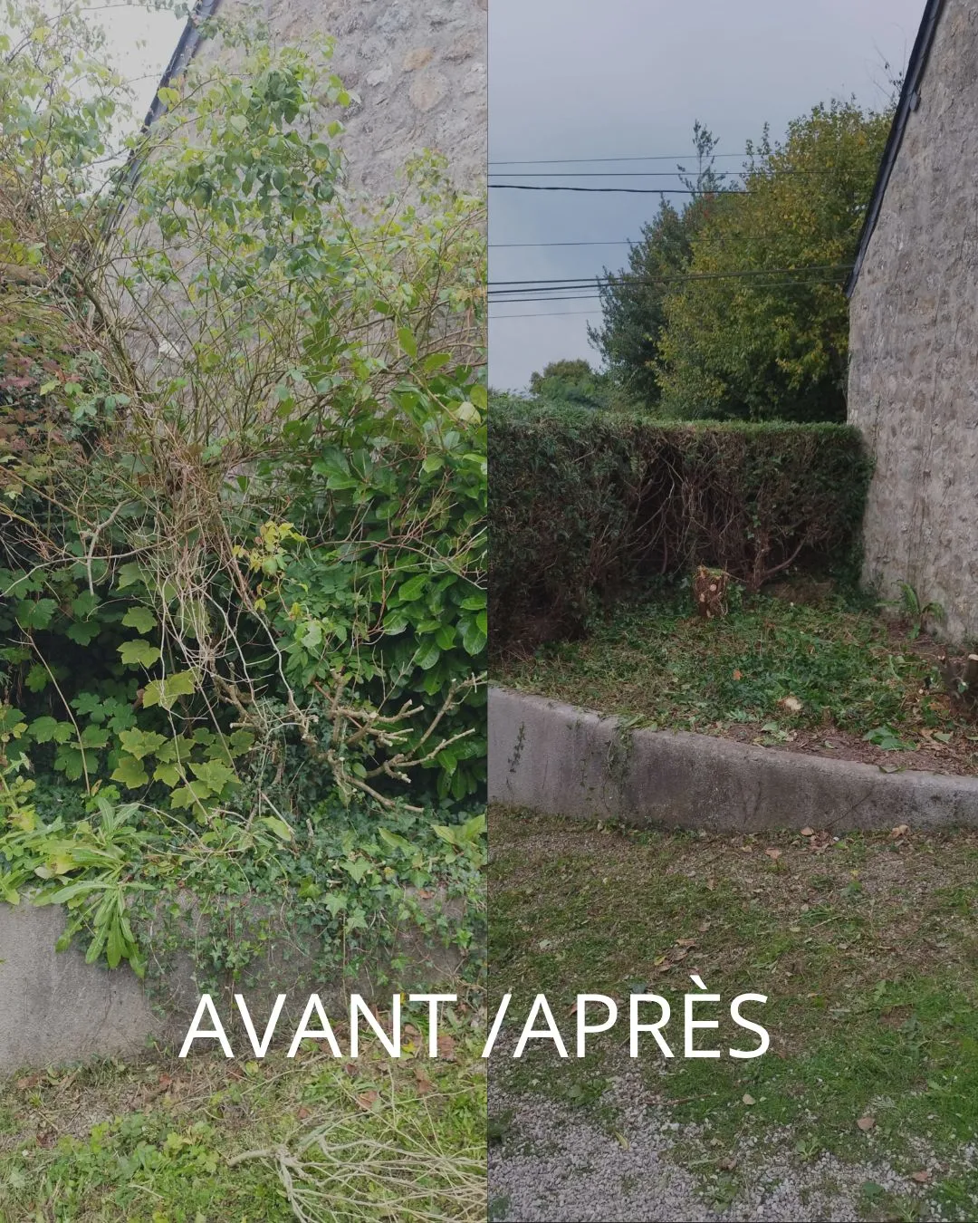 entretien de jardin cherbourg en cotentin