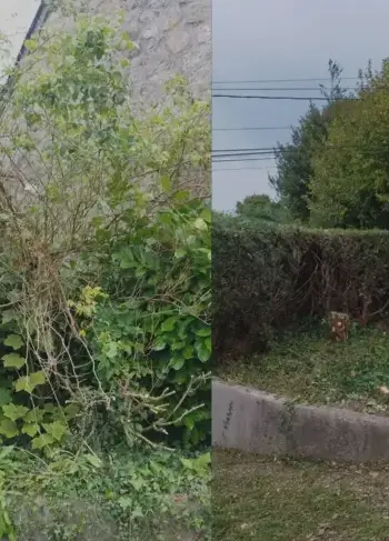 entretien de jardin Cherbourg-en-Cotentin-5