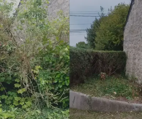 entretien de jardin à Saint-Vaast-la-Hougue - image 3