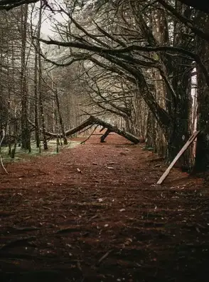 entretien de jardin Valognes-1