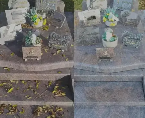 entretien de jardin à Valognes - image 2