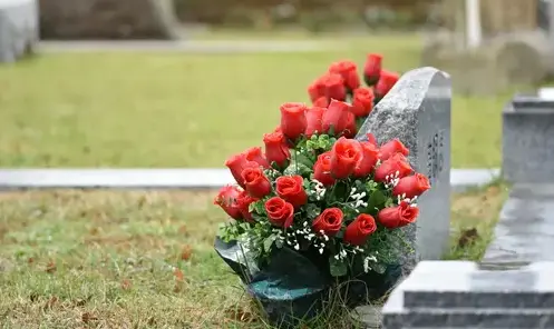 entretien de jardin à Valognes - image 3