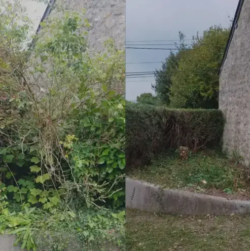 entretien de jardin Valognes-5