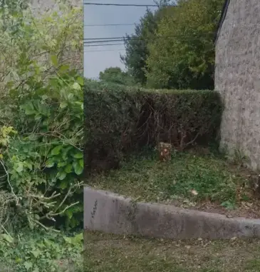 fleurissement de sépulture à Valognes - image 3