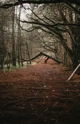 nettoyage tombe Cherbourg-en-Cotentin-1