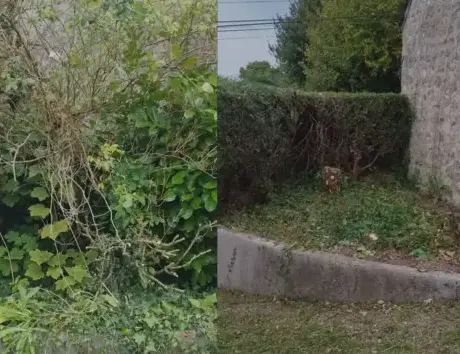 nettoyage tombe à Cherbourg-en-Cotentin - image 4