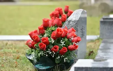 nettoyage tombe à Saint-Vaast-la-Hougue - image 2