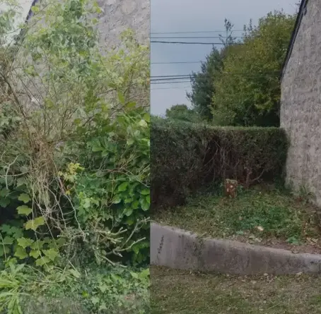 nettoyage tombe à Saint-Vaast-la-Hougue - image 3