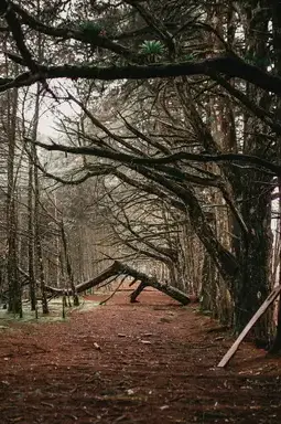 nettoyage tombe à Saint-Vaast-la-Hougue - image 4