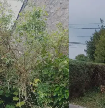 nettoyage tombe Valognes-1