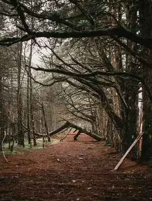 nettoyage tombe à Valognes - image 3