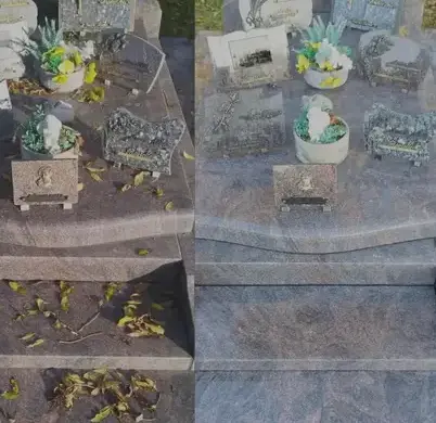 taille de haie à Cherbourg-en-Cotentin - image 2