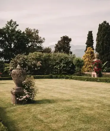 taille de haie à Cherbourg-en-Cotentin - image 3