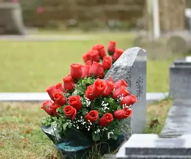 taille de haie à Cherbourg-en-Cotentin - image 4