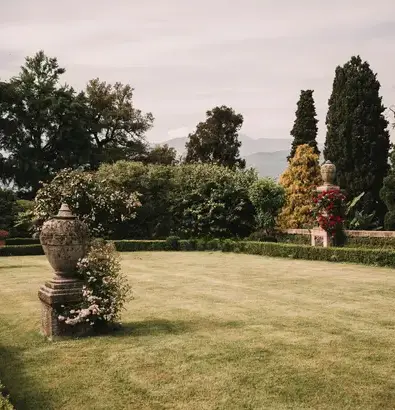 taille de haie Saint-Vaast-la-Hougue-1