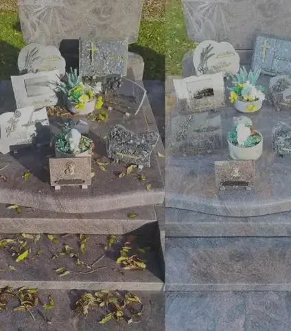 taille de haie à Saint-Vaast-la-Hougue - image 2