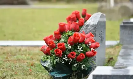 taille de haie à Saint-Vaast-la-Hougue - image 3