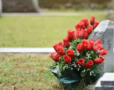 taille de haie à Valognes - image 4