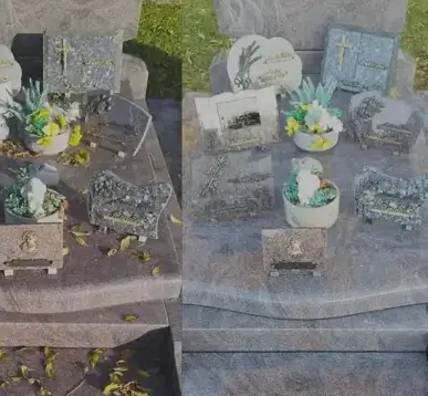 taille de haie Valognes-5