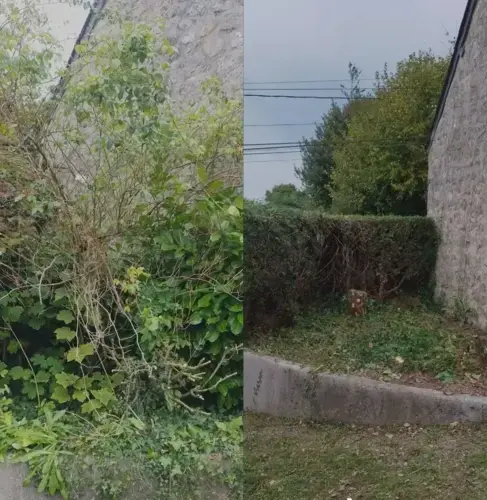tonte de pelouse à Cherbourg-en-Cotentin - image 4