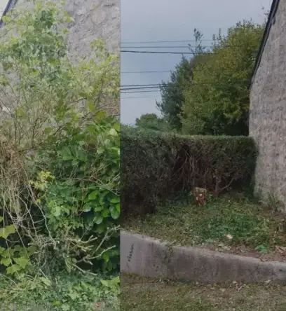 tonte de pelouse à Valognes - image 2