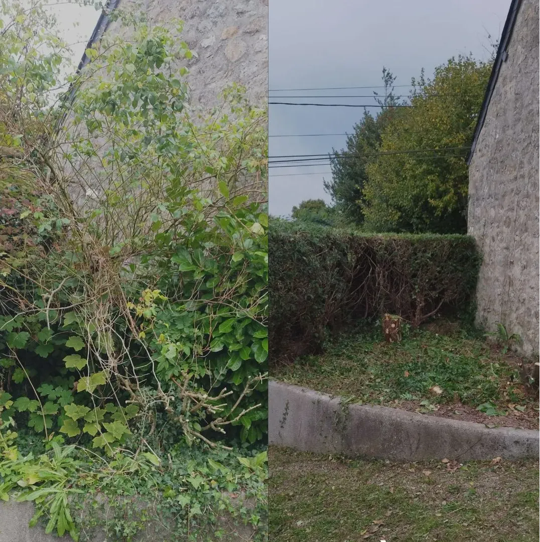 tonte de pelouse valognes